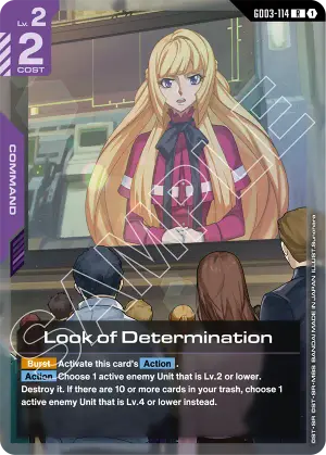 Look of Determination