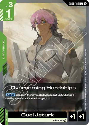 Overcoming Hardships
