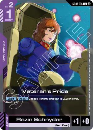 Veteran's Pride