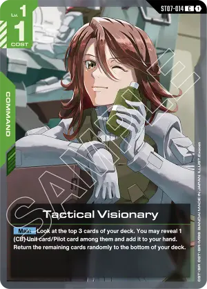 Tactical Visionary